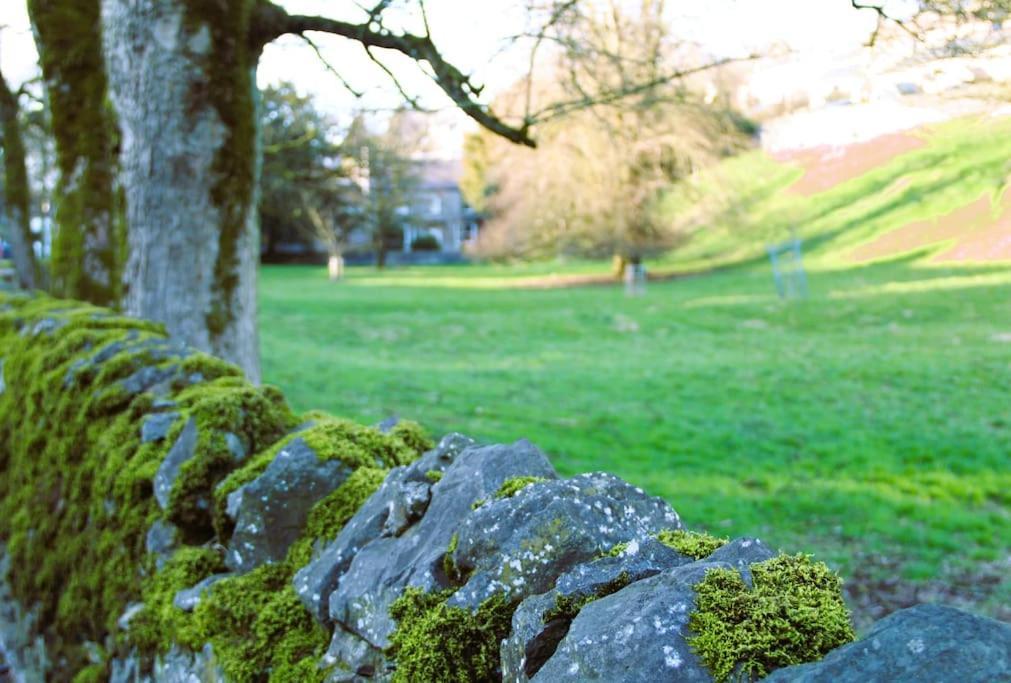 Gorgeous Cozy Cottage With A Heritage Feel, Walks, Pubs & Wood Burner 泰德斯韦尔 外观 照片